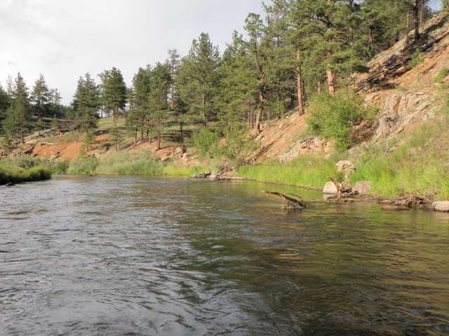 South Platte River Near Happy Meadows Campground