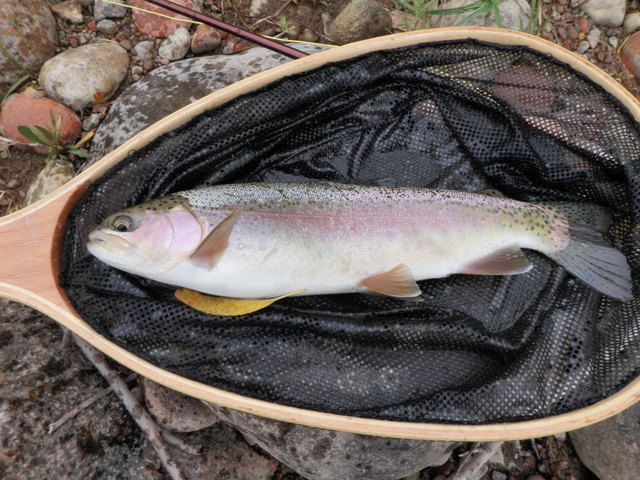 Rainbow from Confluence of Brush Creek and Eagle River
