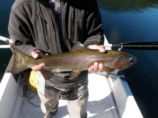 Dave's First Fish on Saturday on a Deer Hair Dragonfly