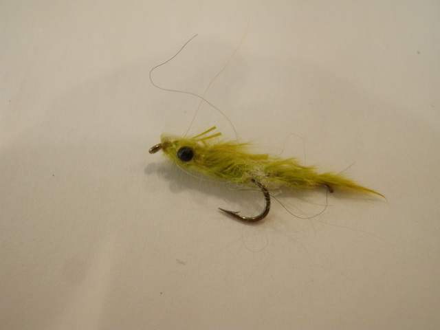 Articulated Damsel Tied by Dave Was Very Productive on Lago Fonck