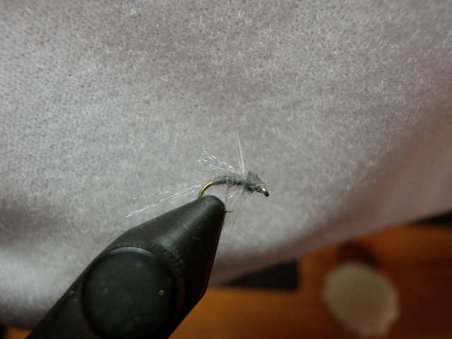 Another View of the BWO Soft Hackle Emerger