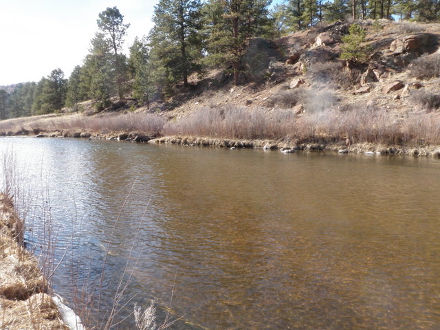 South Platte in Catch and Release Area