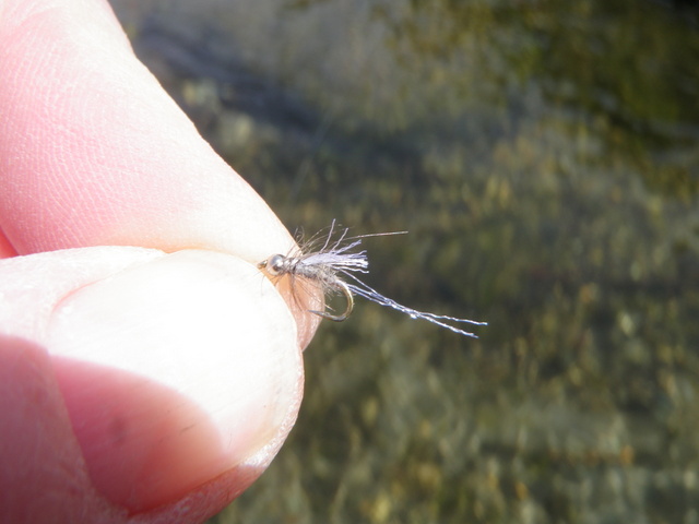 Soft Hackle Emerger Spent Some Time on My Line