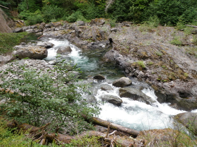 Salmon Cascade on the Sol Duc River