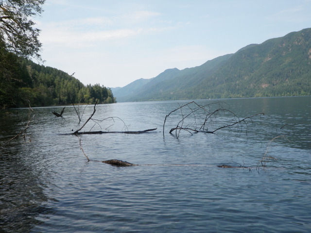 View Along the South Shore of Lake Crescent