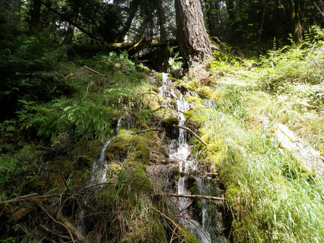 A Small Waterfall Above the Trail